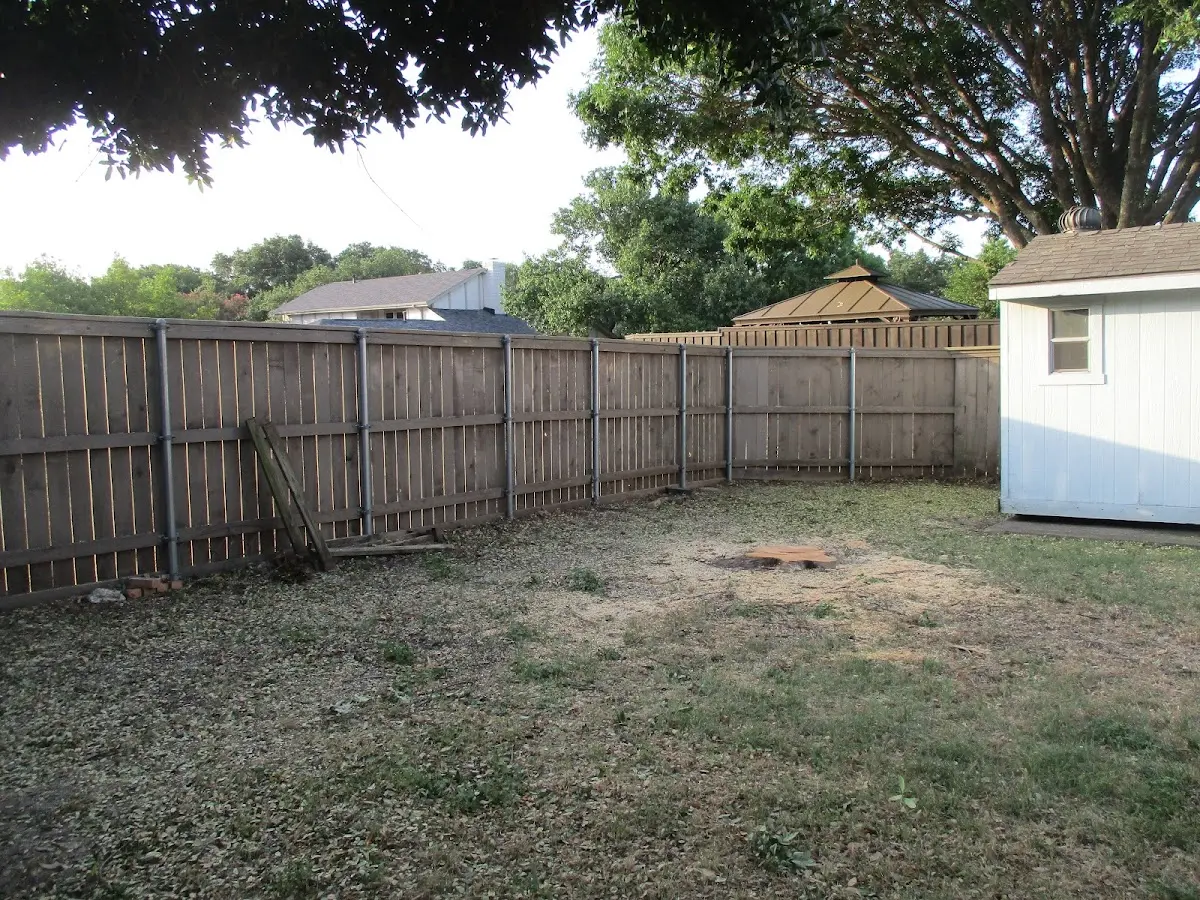 Cleared yard after professional tree removal in Eben Junction